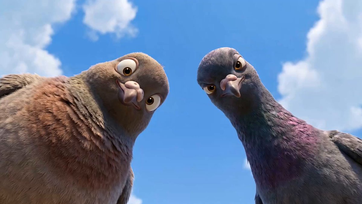 Pigeons Arguing